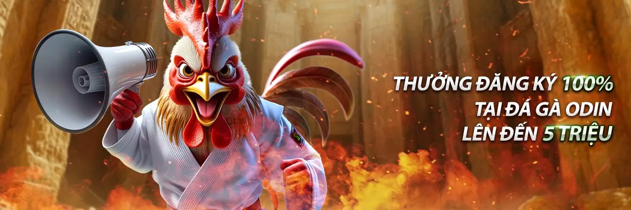 Điều Khoản Dịch Vụ B29 - Chơi game B29 trên web