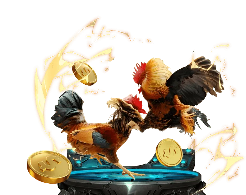 Cá cược bóng đá B29